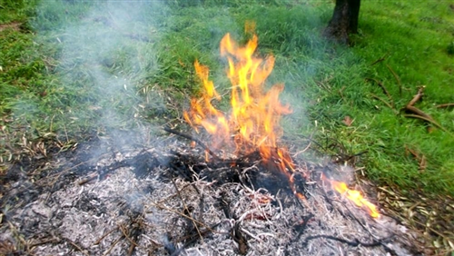 Deroga al divieto di abbruciamento di materiale vegetale.